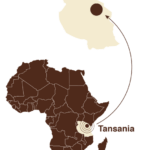 GCB Mlima Caffè Crema (500g)